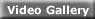 Video Gallery