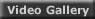 Video Gallery