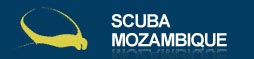 Mozambique Dive Tours Scuba Mozambique's website will guide you to the top dive destinations in Mozambique offering just accommodation or complete dive packages.